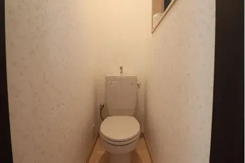 [3LDK+S Property] Osaka City Osaka Prefecture (19)