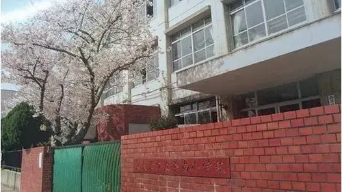 3LDK+S 泉大津市 大阪府 (19)