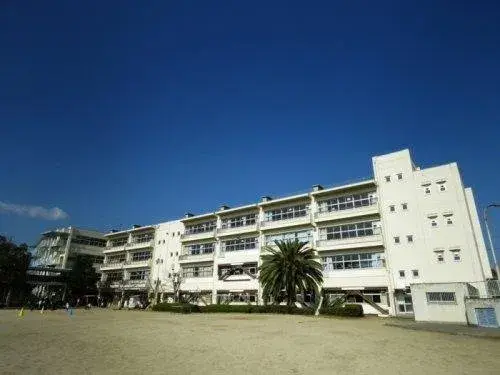 Slide 8