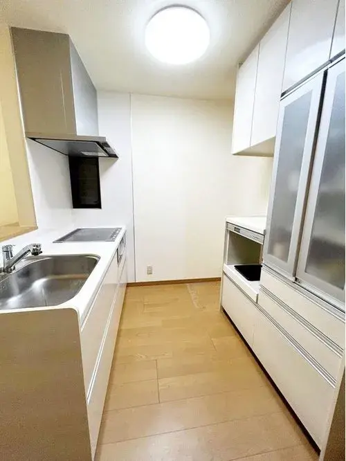4LDK Property Osaka City Osaka Prefecture (12)