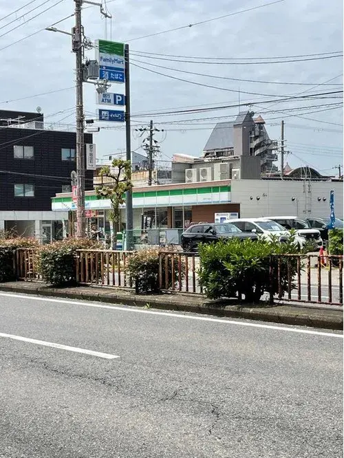 4LDK Property Osaka City Osaka Prefecture (18)