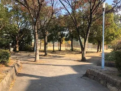 Slide 0
