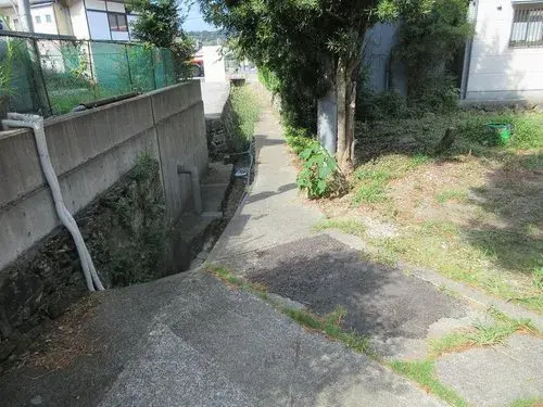 Slide 5