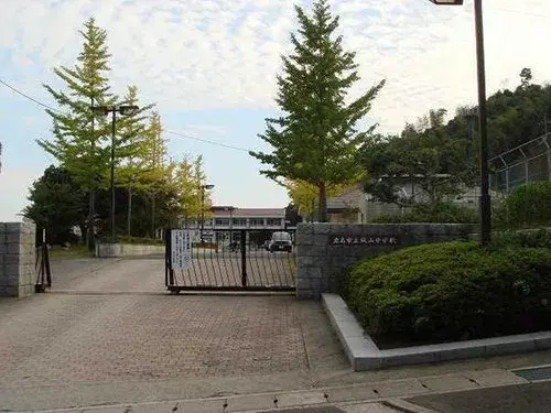 Slide 17