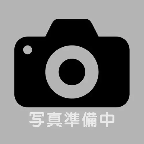 4LDK+S物件 山口市 山口県 (10)