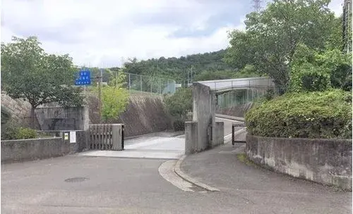 Slide 4
