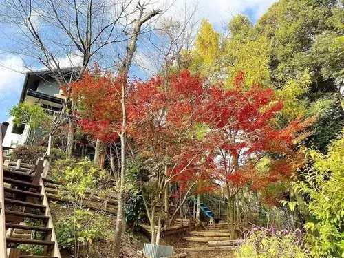3LDK+S Asakura City Fukuoka Prefecture (15)