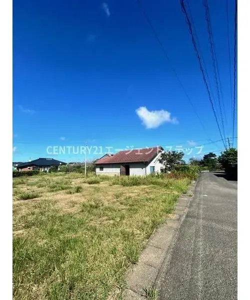 Slide 6