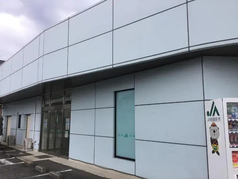 7LDK 相模原市 神奈川县 (9)