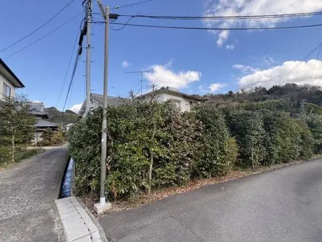 Slide 6