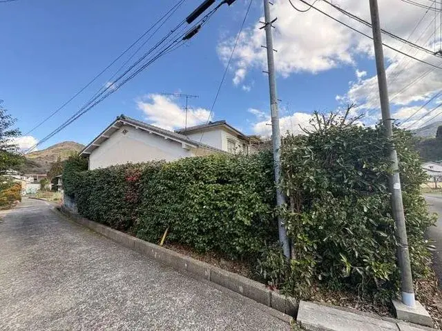Slide 8