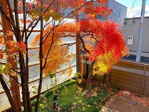 5LDK Sapporo City Hokkaido (25)