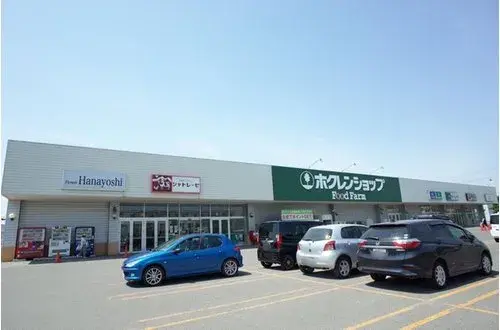 4LDK Property Sapporo City Hokkaido (18)