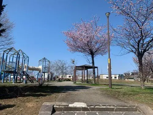 4LDK Property Sapporo City Hokkaido (11)
