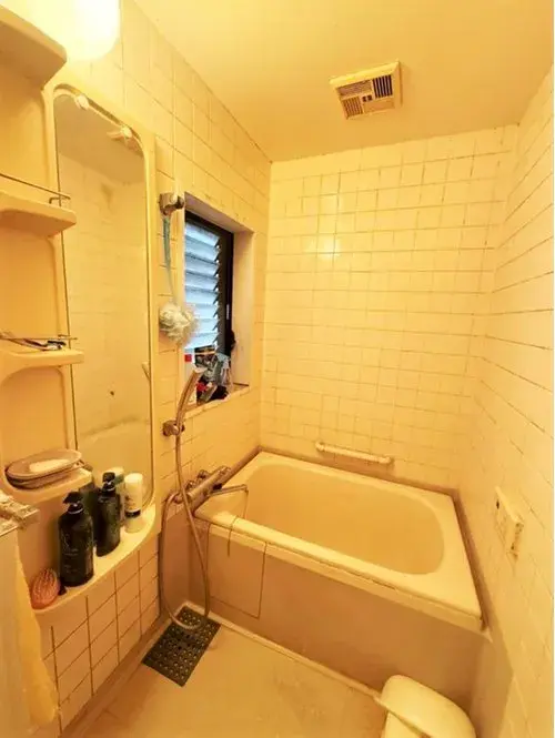 Tokyo Adachi Ward 3LDK Property (4)