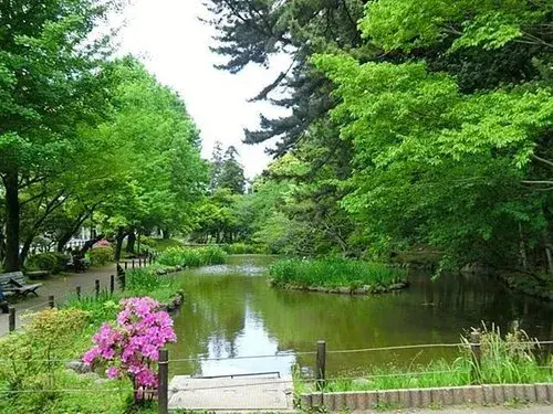 4LDK+S Property Ota Ward Tokyo (11)