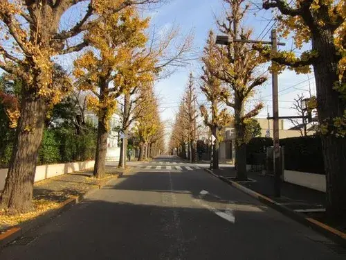 4LDK+S Property Ota Ward Tokyo (12)