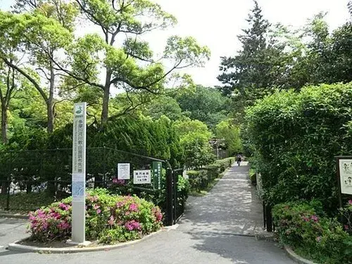 4LDK+S Property Ota Ward Tokyo (15)