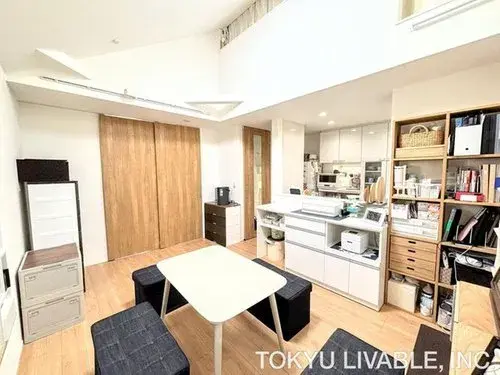 1LDK+S Property Katsushika-ku Tokyo (13)