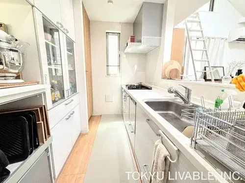 1LDK+S Property Katsushika-ku Tokyo (14)