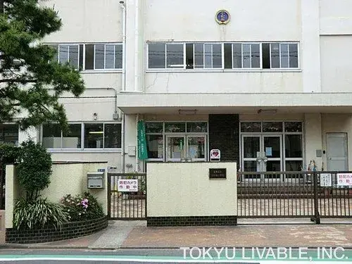 1LDK+S Property Katsushika-ku Tokyo (19)