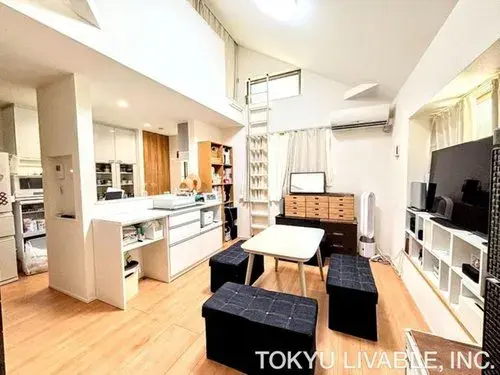 1LDK+S Property Katsushika-ku Tokyo (3)