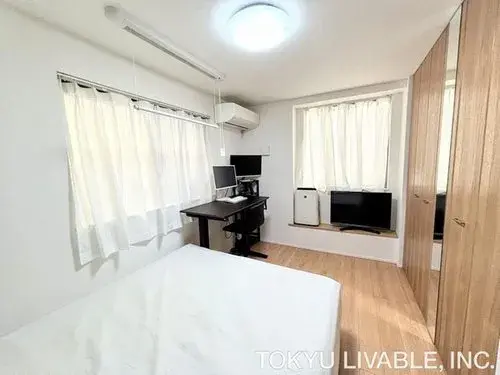 1LDK+S Property Katsushika-ku Tokyo (4)