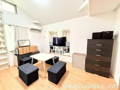 1LDK+S Property Katsushika-ku Tokyo (8)