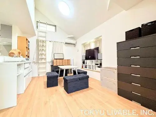 1LDK+S Property Katsushika-ku Tokyo (10)