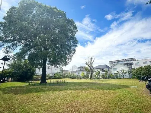 Akiya in 武藏野市