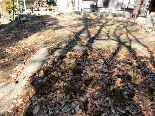 5K Property Koshu City Yamanashi Prefecture (13)