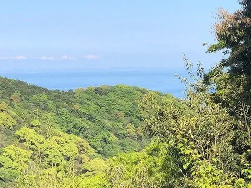 2K+S物件 熱海市 静岡県 (12)