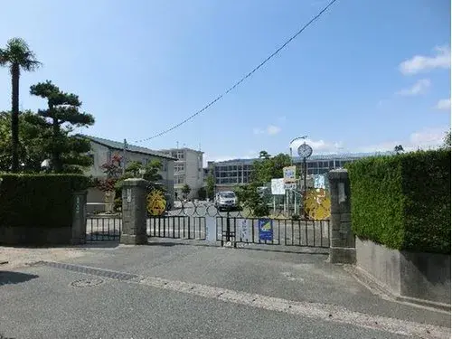Slide 17