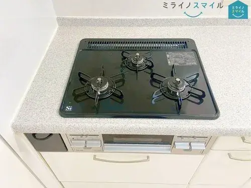 4LDK Property Nagoya City Aichi Prefecture (32)