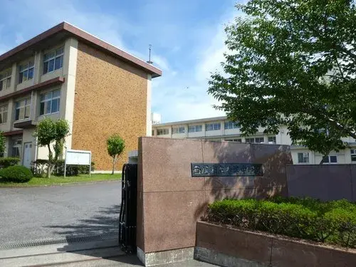 Slide 17