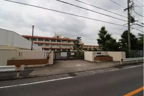 Slide 7
