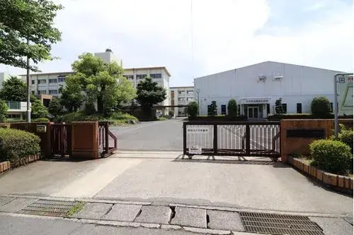 Slide 8