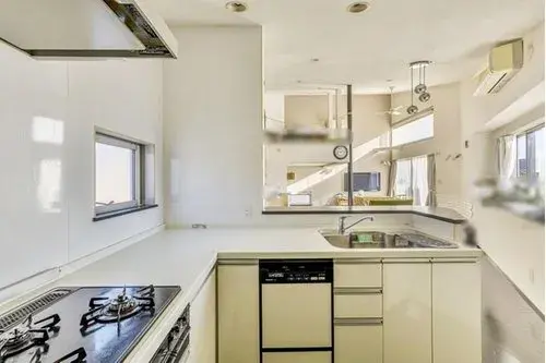 1LDK+S Nisshin City Aichi Prefecture Property (14)