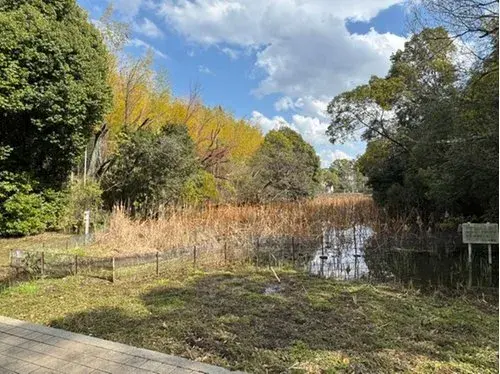 7LDK Property Kyoto City Kyoto Prefecture (5)