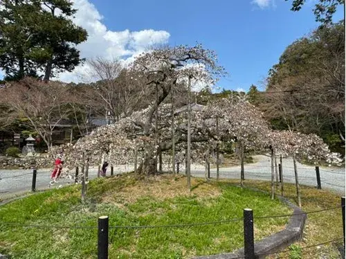 7LDK Property Kyoto City Kyoto Prefecture (7)