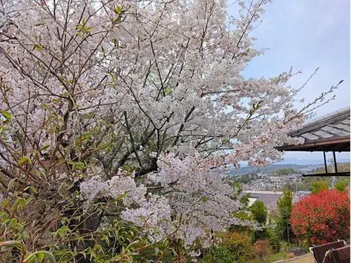 3DK Property Uji City Kyoto (18)