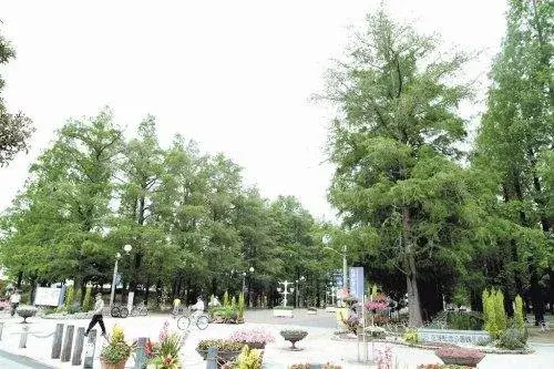 3DK Property Osaka City Osaka Prefecture (4)