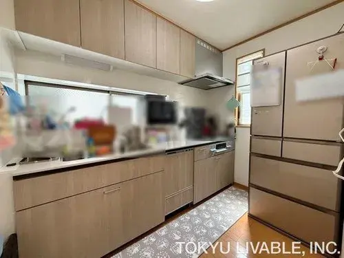 4LDK Property Osaka City Osaka Prefecture (13)