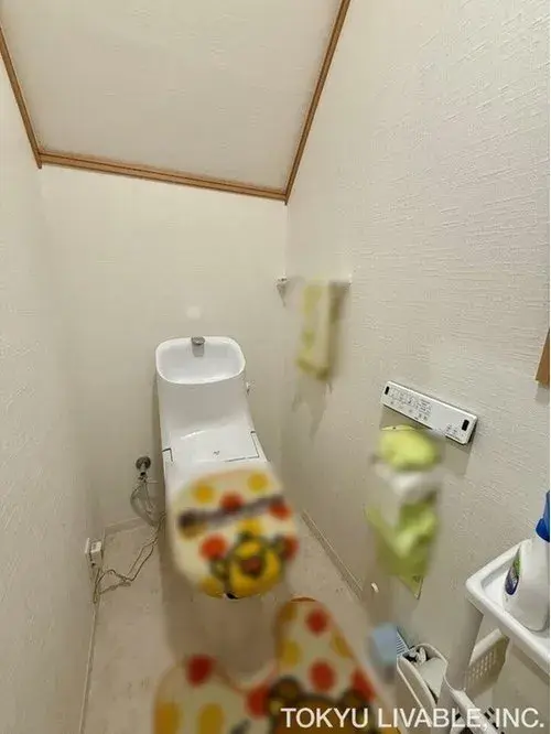 4LDK Property Osaka City Osaka Prefecture (16)