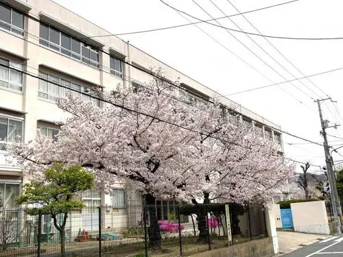 4LDK Property Daito City Osaka Prefecture (19)