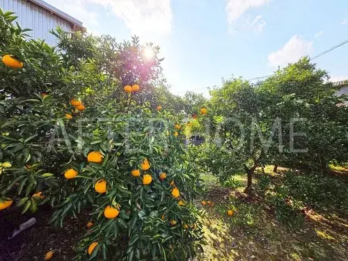 8DK物件 有田川町 和歌山県 (12)