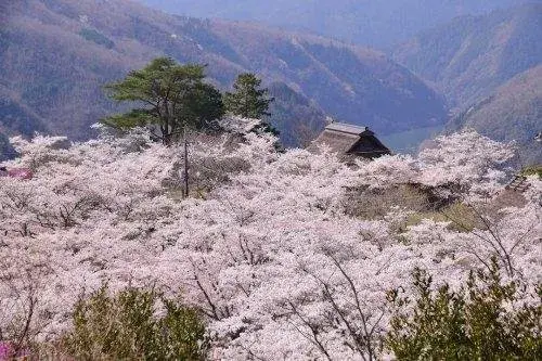 [6DK Property] Misaki-cho Okayama Prefecture (18)