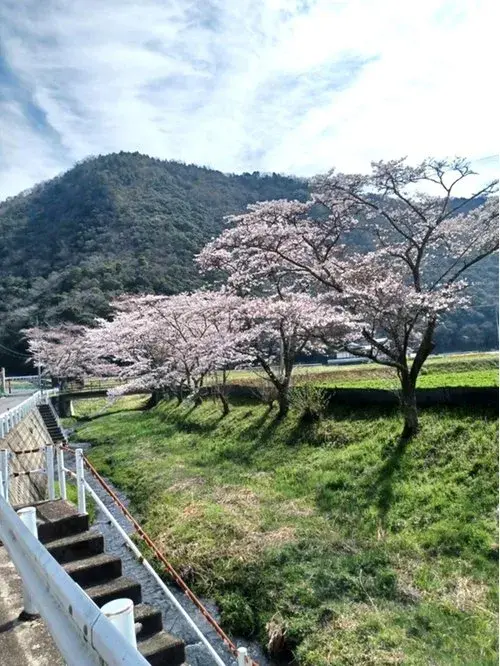 5DK Property Okayama City Okayama Prefecture (19)