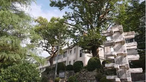 3LDK宇部市山口県 (19)