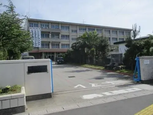 Slide 5